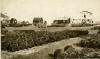 Selsey Boathouse (from a postcard loaned by Brian Pullenger)