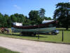Weald and Downland Heavy Horse Show Preparation