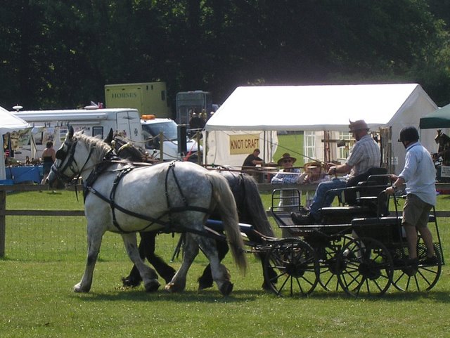 Weald and Downland Heavy Horse Show