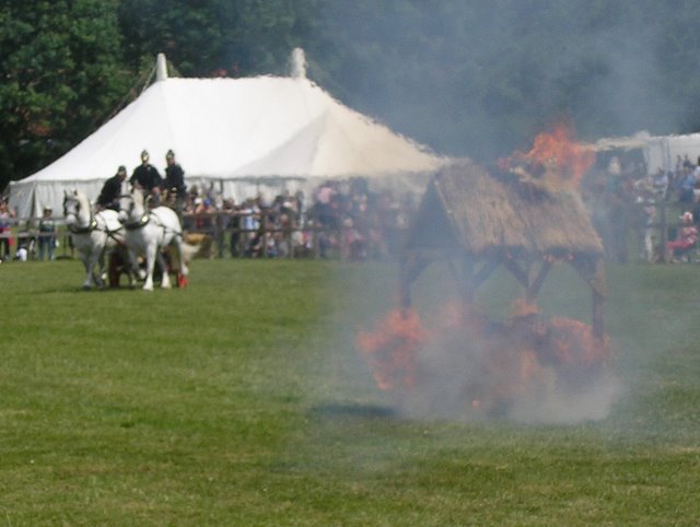 Weald and Downland Heavy Horse Show