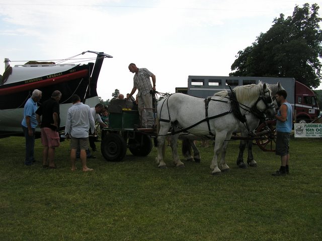 Weald and Downland Heavy Horse Show