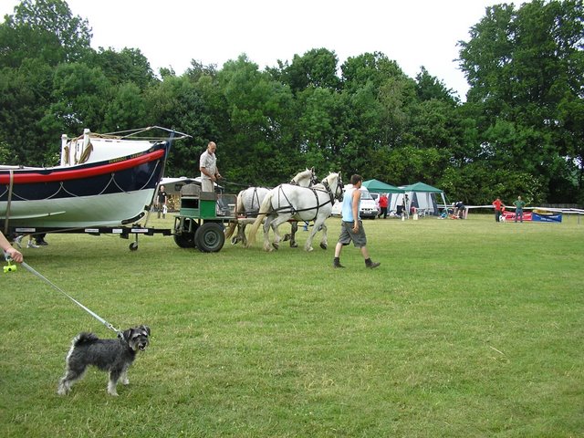 Weald and Downland Heavy Horse Show