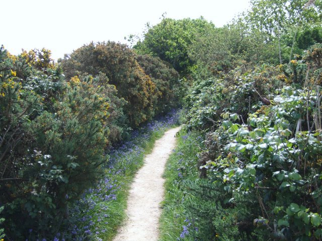Selsey Lifeboat Sponsored Walk 2011