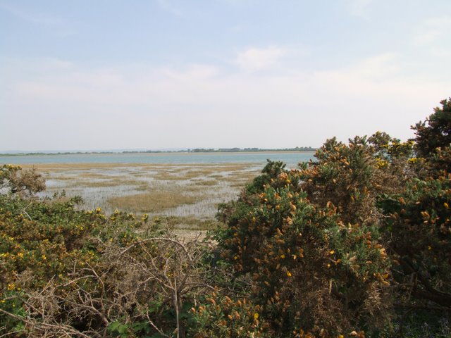 Selsey Lifeboat Sponsored Walk 2011