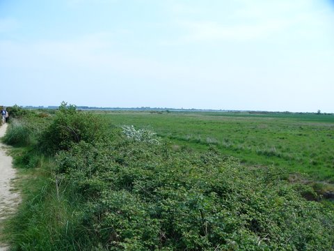 Selsey Lifeboat Sponsored Walk 2011