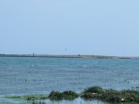 Selsey Lifeboat Sponsored Walk 2011